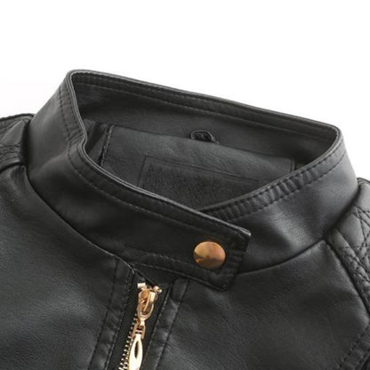 Women's Jacket | Zip Fastening & Stand Collar