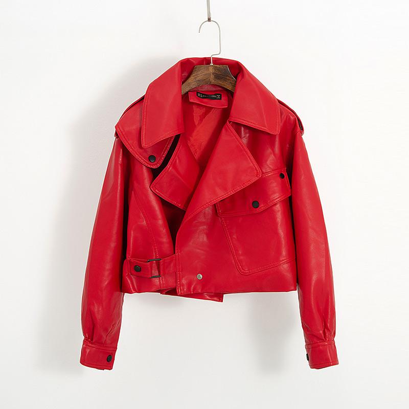 Women's Cropped Jacket | Belted & Tailored 3