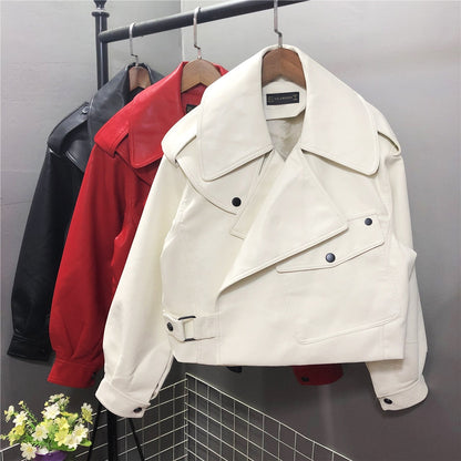 Women's Cropped Jacket | Belted & Tailored 6